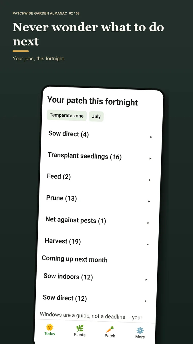Patchwise Today screen listing the sowing, planting, feeding, protection and harvesting jobs due in the next fortnight.