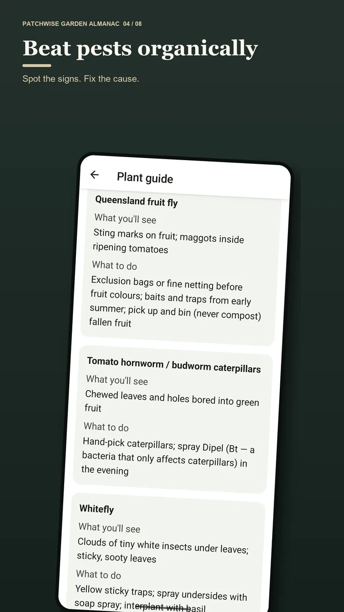 Patchwise tomato pest guide identifying fruit fly and hornworm signs with practical organic-first controls.