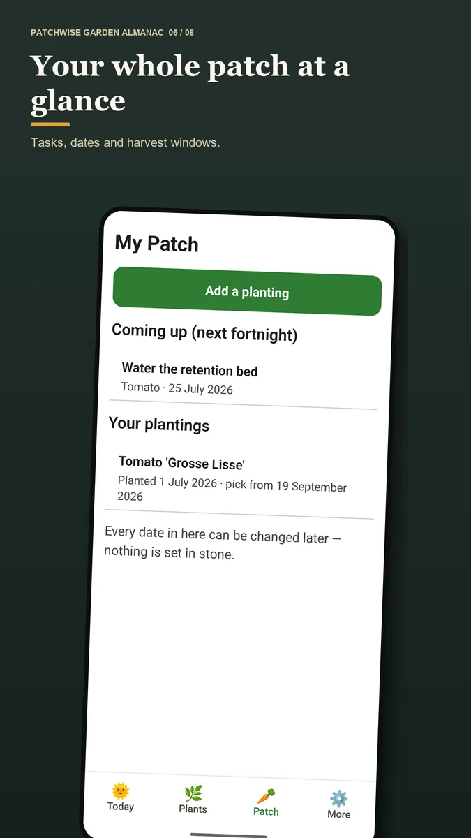 Patchwise My Patch screen showing an active tomato planting, its next tasks and predicted harvest window.