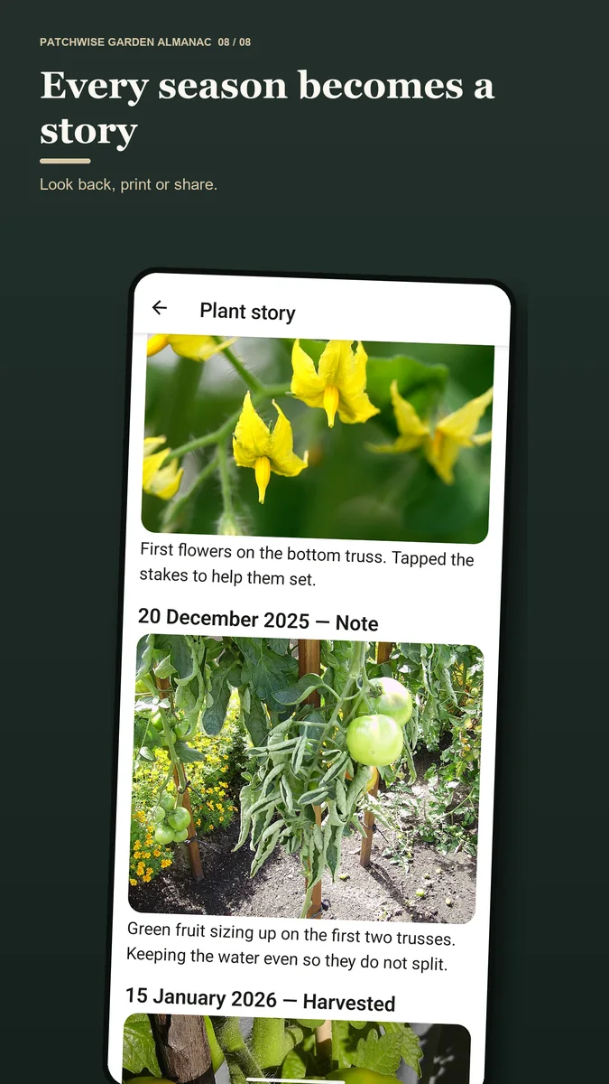 Patchwise plant story showing dated photos and notes from first flowers through green fruit to harvest.